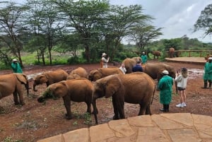 Nairobi: Nationalpark, Elefantenwaisenhaus und Giraffenzentrum