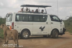 Nairobi: Kansallispuisto ja valinnainen norsu- ja kirahvikeskus