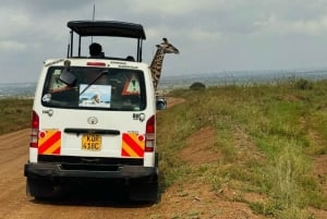 Nairobi: Kansallispuisto ja valinnainen norsu- ja kirahvikeskus