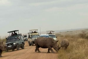 Nairobi: Kansallispuisto ja valinnainen norsu- ja kirahvikeskus