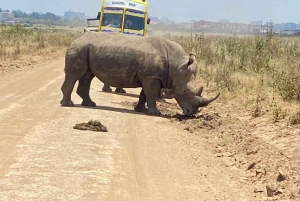 Nairobi: Parque Nacional, Orfanato de Elefantes e Centro de Girafas