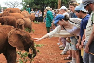 Nairobi: kansallispuisto, norsujen orpokoti ja kirahvikeskus.