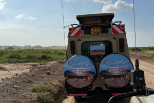 Nairobi: kansallispuisto, norsujen orpokoti ja kirahvikeskus.