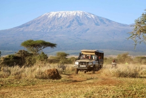 Nairobi: kansallispuisto, norsujen orpokoti ja kirahvikeskus.