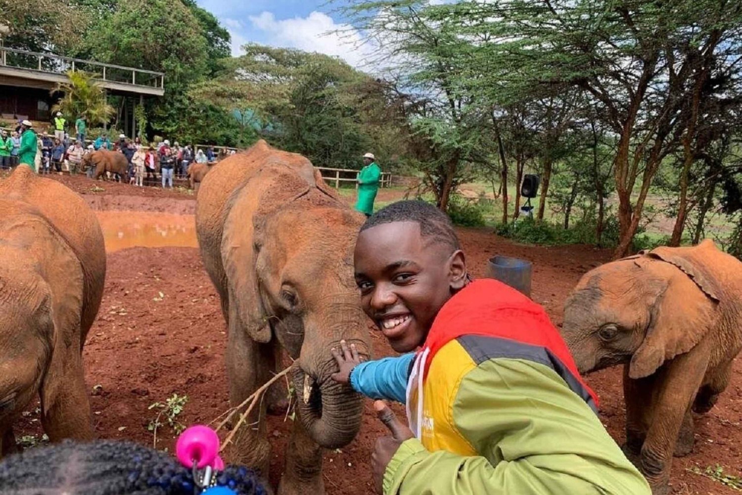 Nairobi National Park, Elephant Orphanage & Giraffe Centre