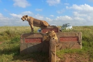 Excursão ao Parque Nacional de Nairobi, Orfanato de Elefantes e Centro de Girafas