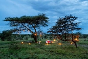 Nairobi: Nationalpark, elefanthem och girafftur