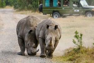 Nairobi: Nationalpark, elefanthem och girafftur