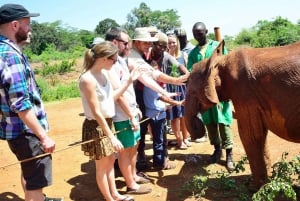 Nairobi: parco nazionale, santuario degli elefanti e centro delle giraffe