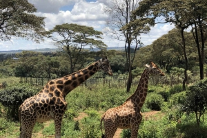 Nairobi; Nationaal Park, Olifantenreservaat en Giraffencentrum.