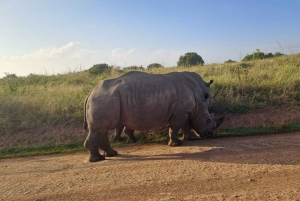 Nairobi; Nationaal Park, Olifantenreservaat en Giraffencentrum.