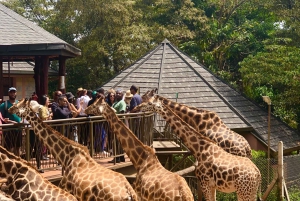 Nairobi; Nationaal Park, Olifantenreservaat en Giraffencentrum.