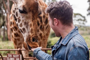 Nairobi; Nationaal Park, Olifantenreservaat en Giraffencentrum.