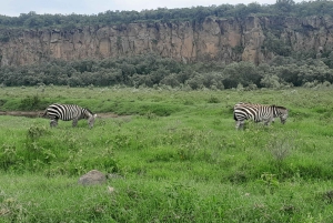 Nairobi; Nationaal Park, Olifantenreservaat en Giraffencentrum.