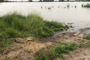 Nairobi; Nationaal Park, Olifantenreservaat en Giraffencentrum.
