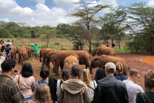 Nairobi; Nationaal Park, Olifantenreservaat en Giraffencentrum.