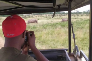 Excursion d'une journée au parc national de Nairobi, éléphants, girafes et bomas