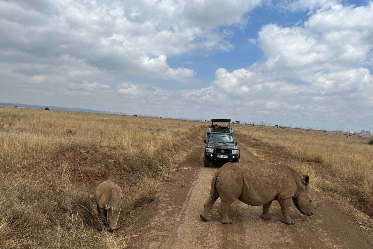 Nairobi National Park Full or Half-Day Tour with Guide