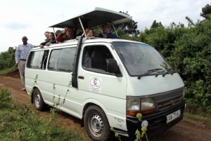 Da Nairobi: tour guidato di 1 giorno o di mezza giornata al Parco Nazionale di Nairobi