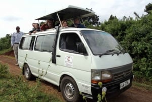 Parque Nacional de Nairobi: tour de 1 o 1/2 día con guía