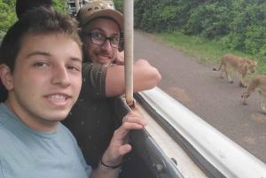 Visite du parc national de Nairobi avec guide (journée ou demi-journée)