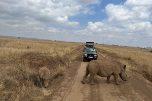 Nairobi-Nationalpark Ganz- oder Halbtagestour mit Guide