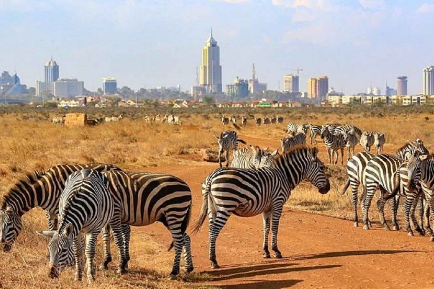 Nairobi National Park Game drive and Elephant Orphanage