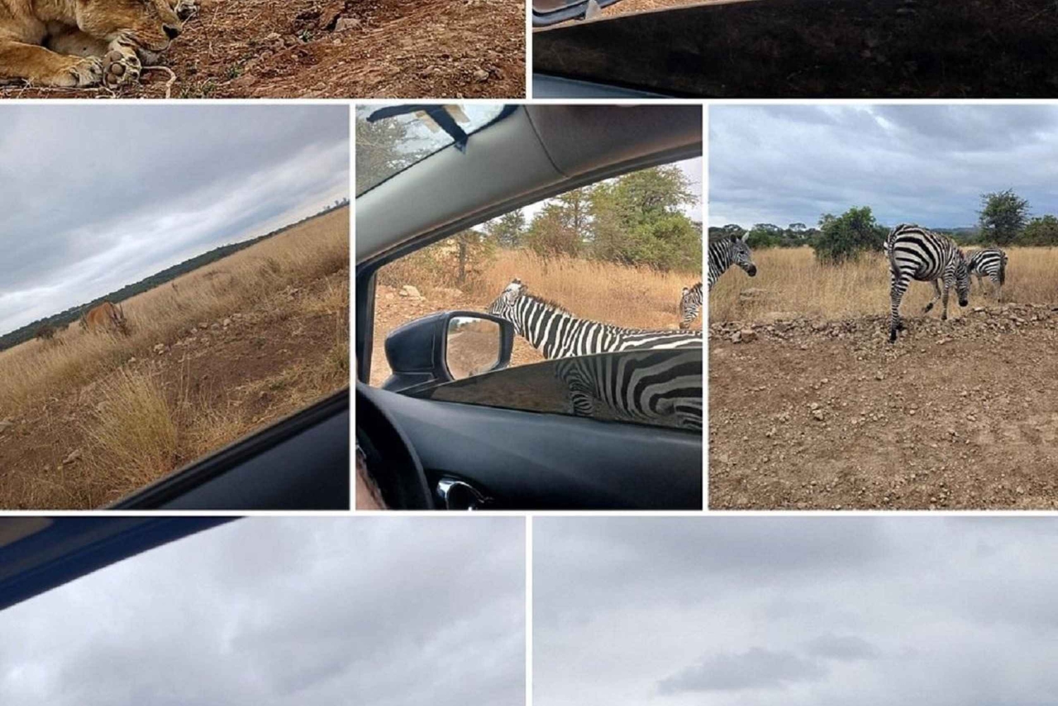 Nairobi National Park Game drive and Elephant Orphanage