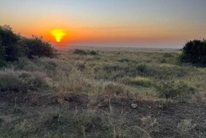 Nairobi National Park Game drive and Elephant Orphanage