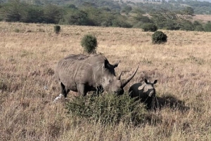 Nairobi National Park Game drive and Elephant Orphanage