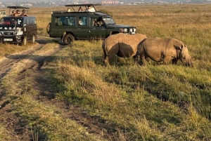 Nairobi National Park Game drive and Elephant Orphanage
