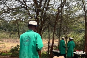 Nairobi National Park Game drive and Elephant Orphanage