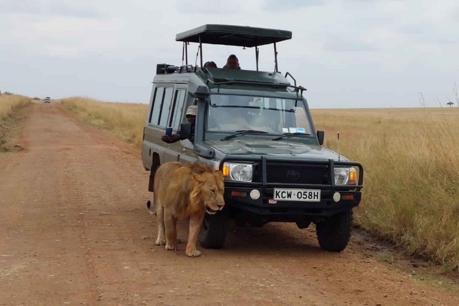 NAIROBI NATIONAL PARK GAME DRIVE HALF-DAY TOUR