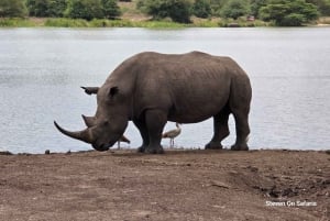 Privat halvdags safari i Nairobi Nationalpark