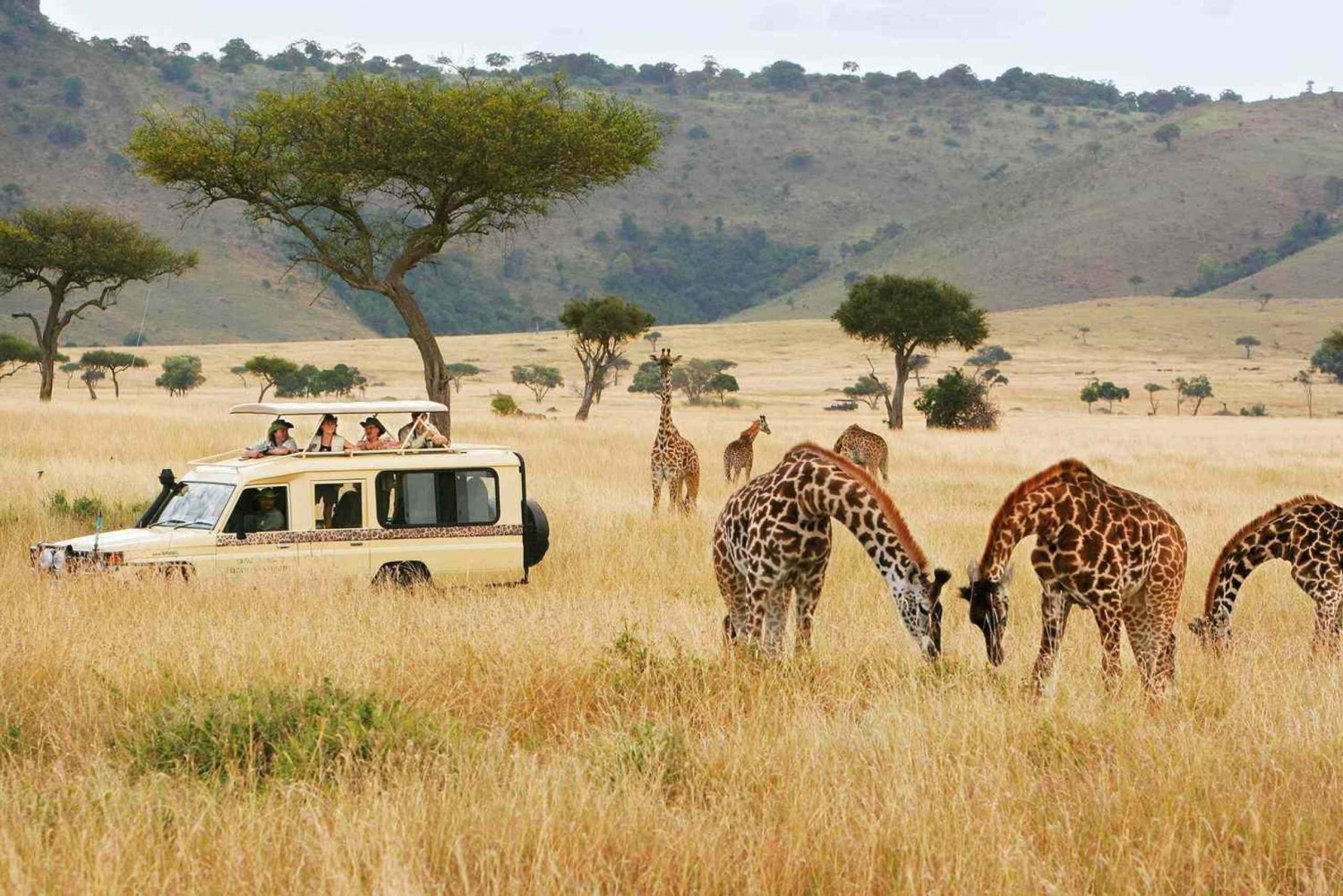 Nairobi nationalpark, Giraffcenter och Bomas of Kenya Tour