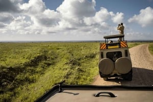 Nairobi: Nationalpark, Giraffencenter und Kazuri Beads Tour