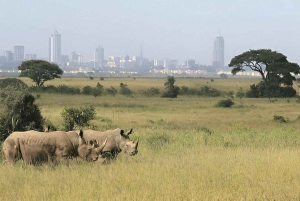 Nairobi: Nationalpark, Giraffencenter und Kazuri Beads Tour