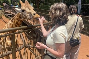 Nairobi: Nationalpark, Giraffencenter und Kazuri Beads Tour