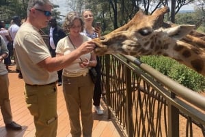 Nairobi: Nationalpark, Giraffencenter und Kazuri Beads Tour