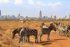 Nairobi: Nationalpark, Giraffencenter und Kazuri Beads Tour