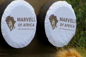 Nairobi: Park Narodowy, Centrum Żyraf, wycieczka do Kazuri Beads