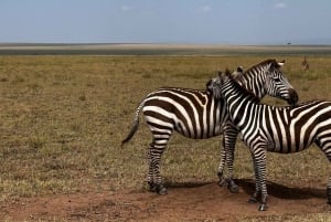 Nairobi: Park Narodowy, Centrum Żyraf, wycieczka do Kazuri Beads