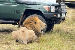 Nairobi: Park Narodowy, Centrum Żyraf, wycieczka do Kazuri Beads