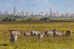 Nairobi: Park Narodowy, Centrum Żyraf, wycieczka do Kazuri Beads