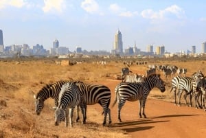 Nairobi: Park Narodowy, Centrum Żyraf, wycieczka do Kazuri Beads