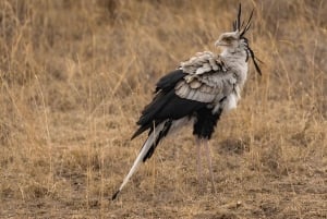 Nairobi: Park Narodowy, Centrum Żyraf, wycieczka do Kazuri Beads