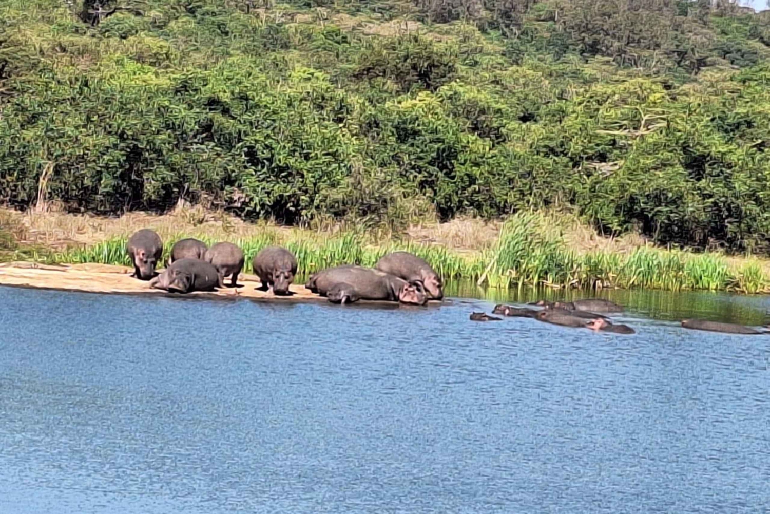 Nairobi National Park, Giraffe Center, Orpanage & Bomas Trip
