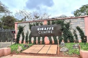 Parque Nacional de Nairobi, orfanato, tour de jirafas y abalorios