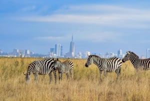 Parque Nacional de Nairobi, orfanato, tour de jirafas y abalorios
