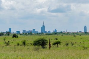 Parque Nacional de Nairobi, orfanato, tour de jirafas y abalorios